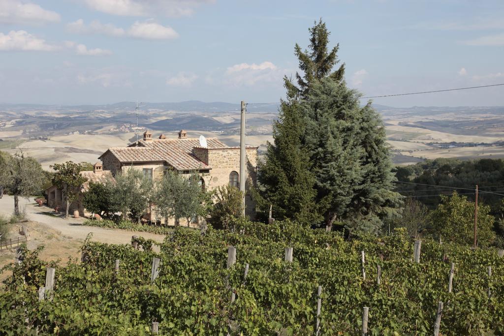 Azienda Agraria La Casella Montalcino Eksteriør billede