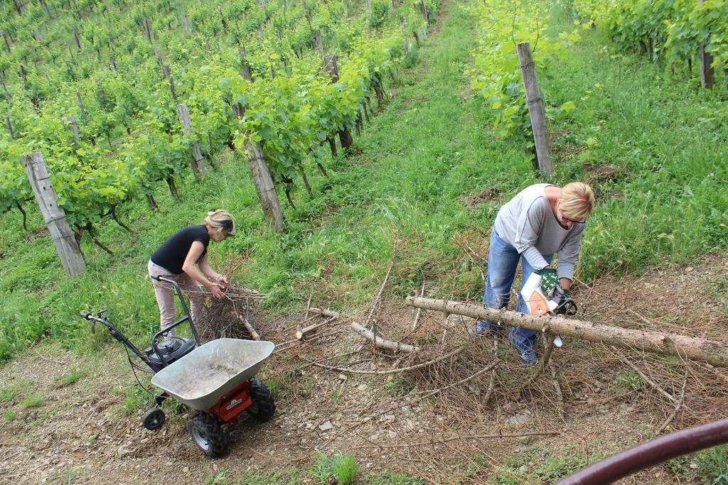 Azienda Agraria La Casella Montalcino Eksteriør billede