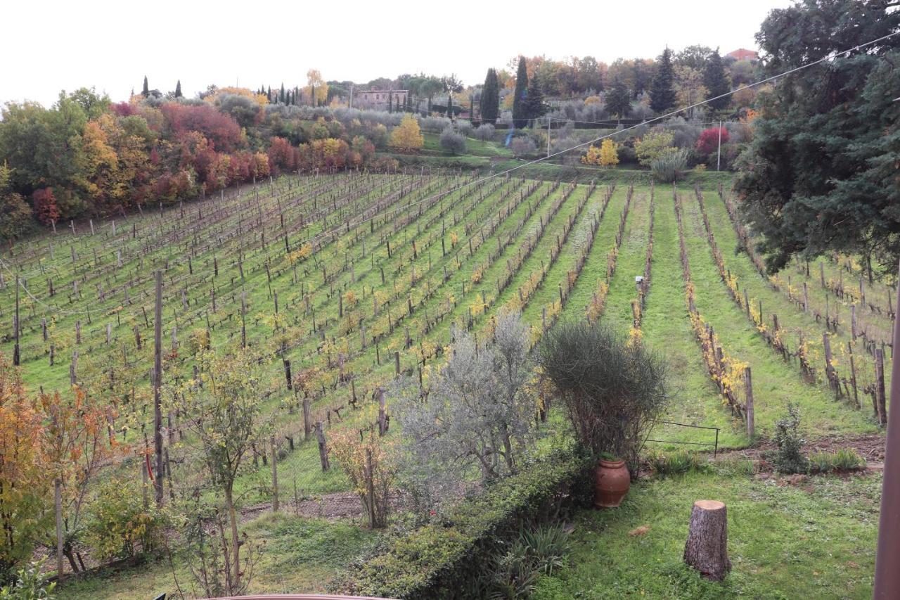 Azienda Agraria La Casella Montalcino Eksteriør billede